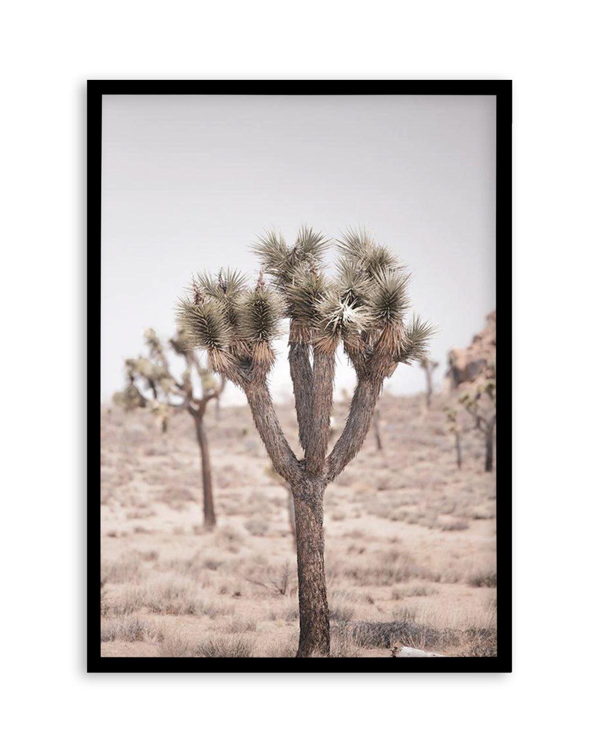 Cool Joshua Tree II | PT Art Print