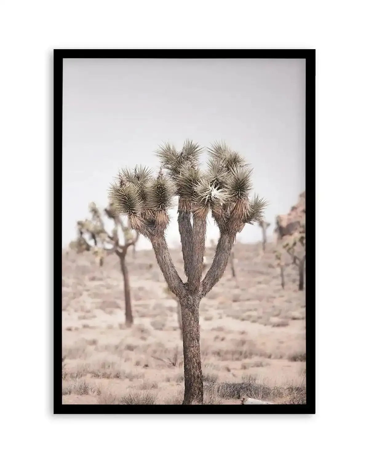 Cool Joshua Tree II | PT Art Print from Olive et Oriel where you can shop wallpaper and artworks online