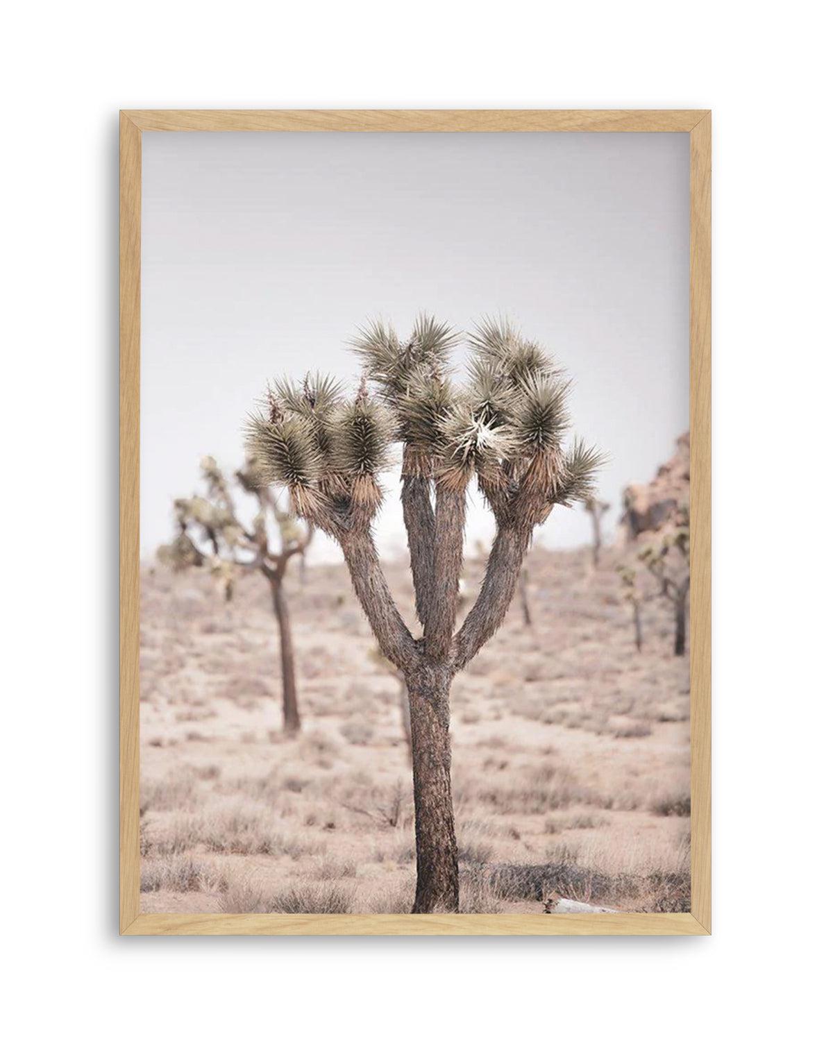 Cool Joshua Tree II | PT Art Print