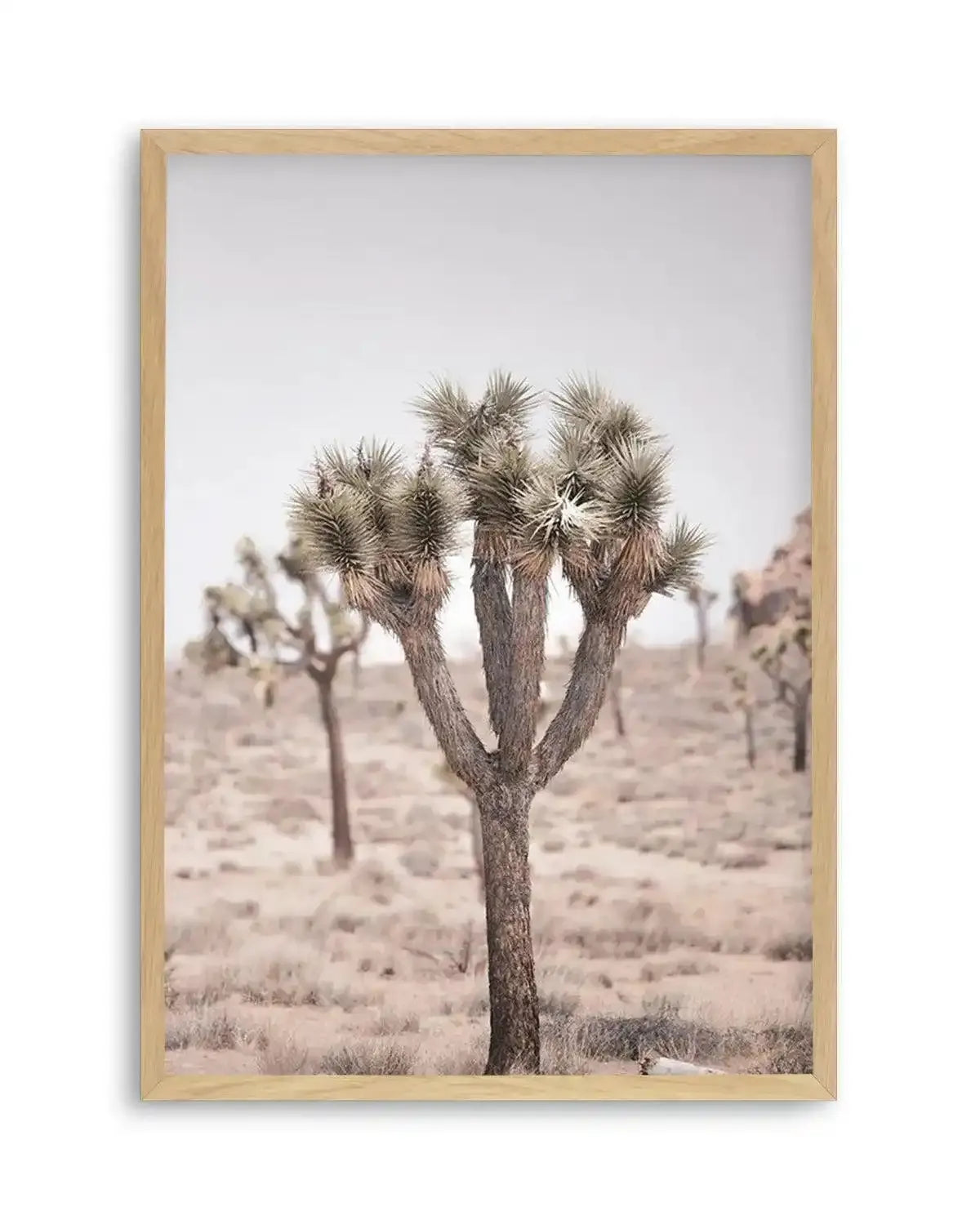 Cool Joshua Tree II | PT Art Print from Olive et Oriel where you can shop wallpaper and artworks online