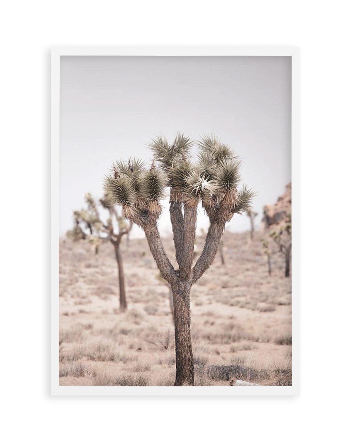 Cool Joshua Tree II | PT Art Print