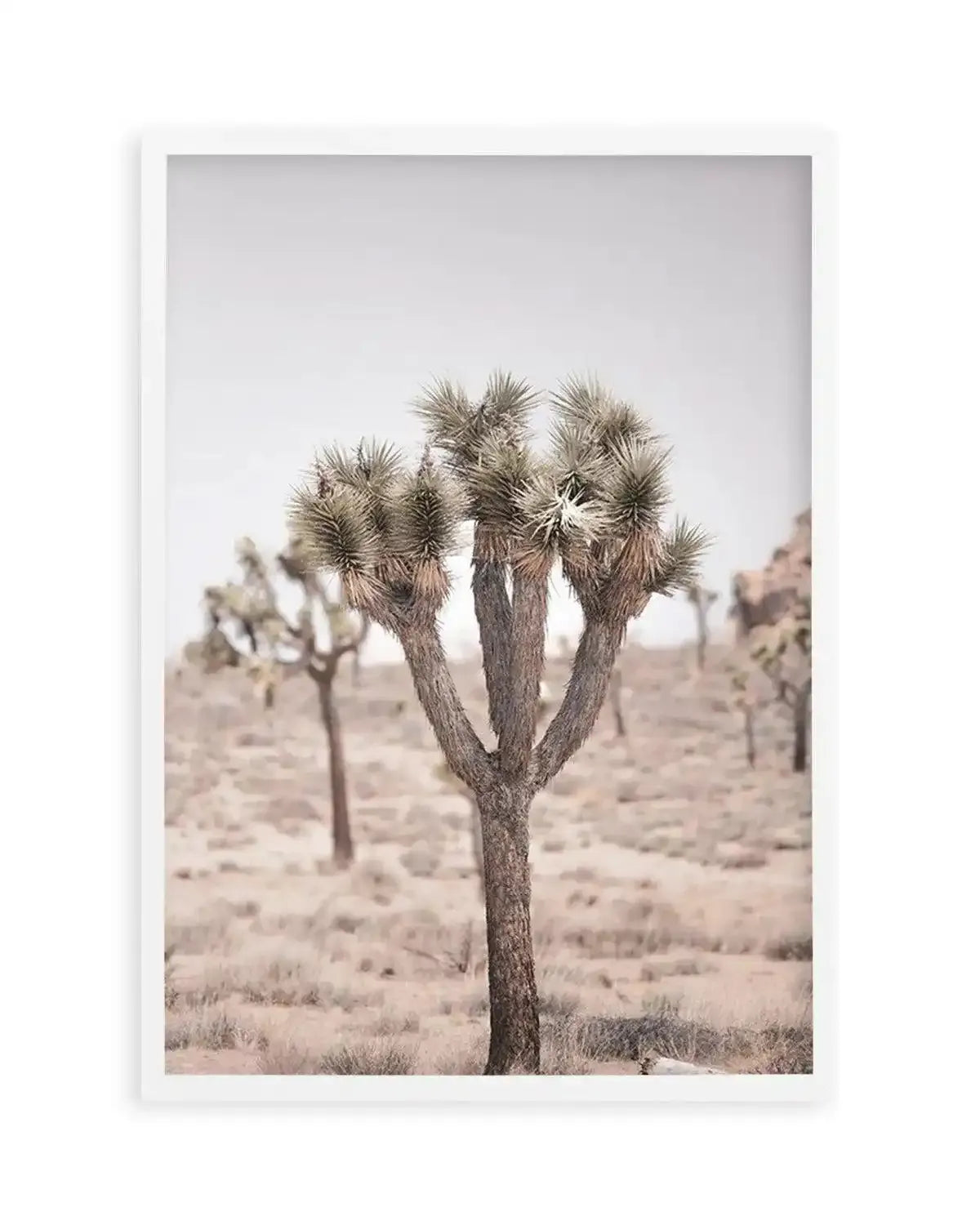 Cool Joshua Tree II | PT Art Print from Olive et Oriel where you can shop wallpaper and artworks online