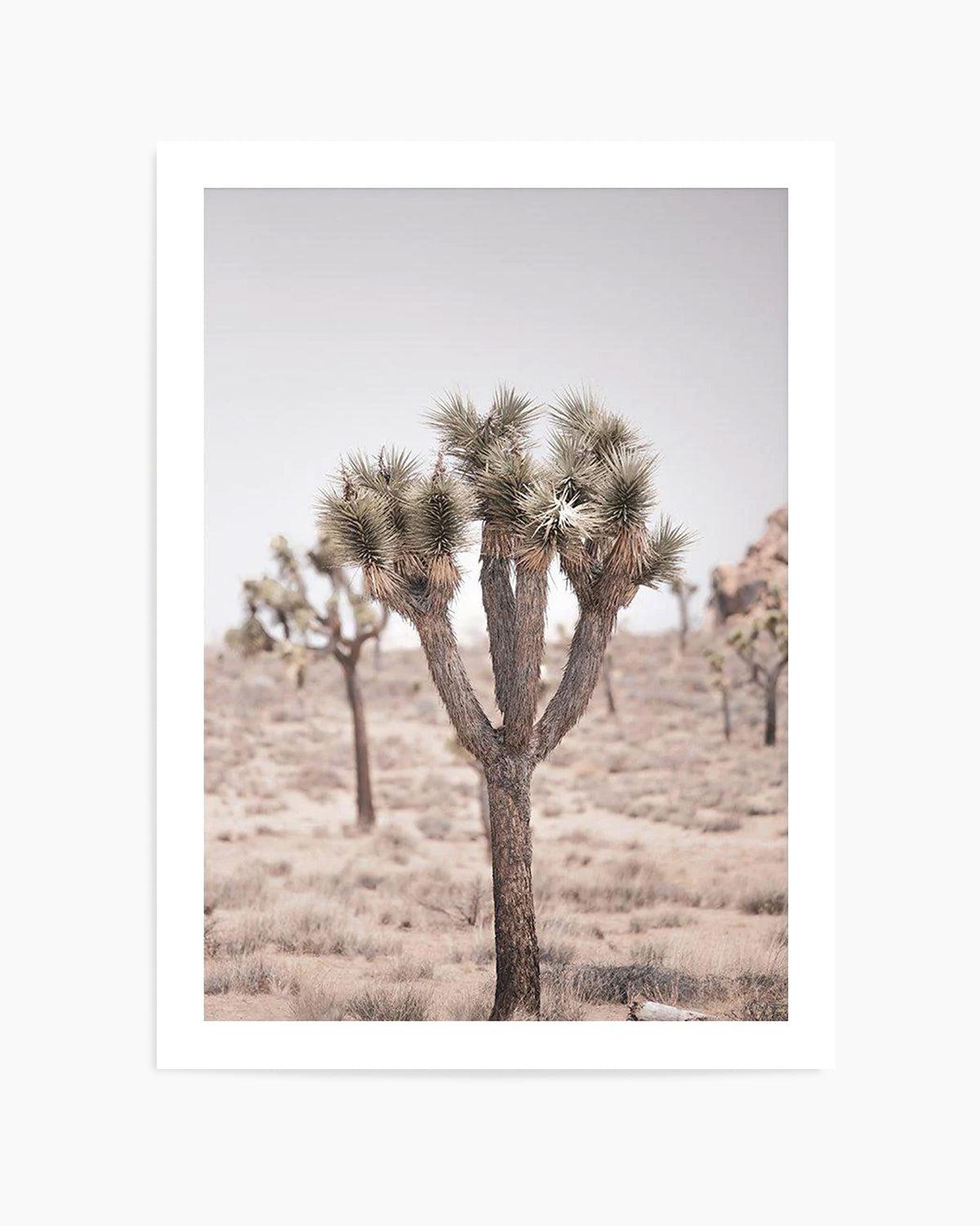 Cool Joshua Tree II | PT Art Print