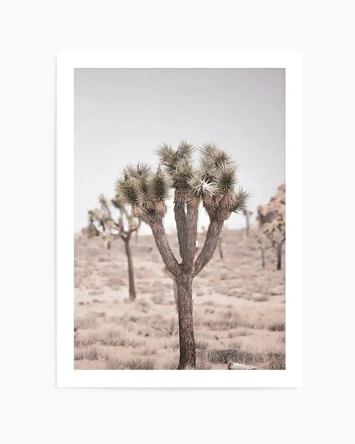 Cool Joshua Tree II | PT Art Print from Olive et Oriel where you can shop wallpaper and artworks online