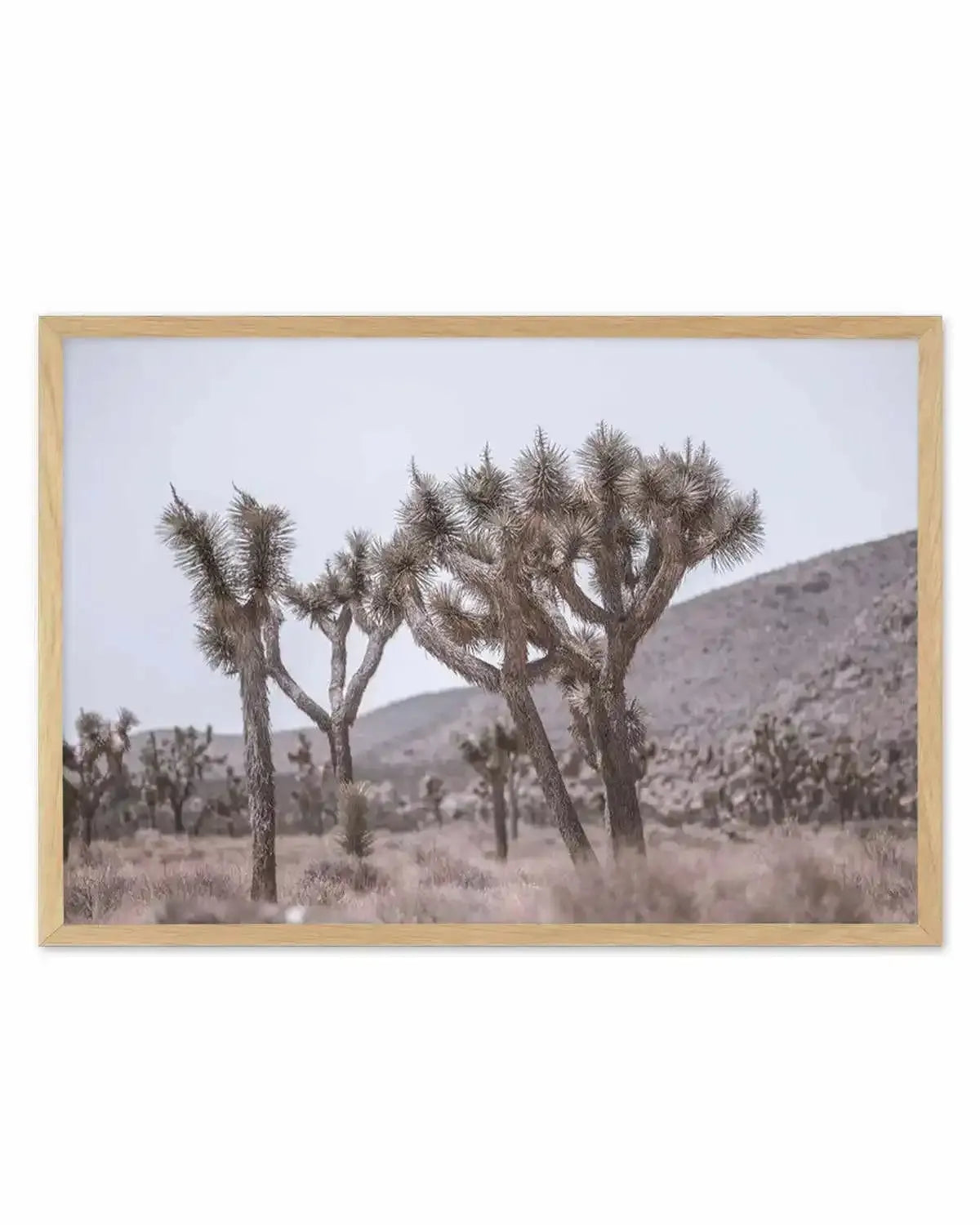 Cool Joshua Tree | LS Art Print from Olive et Oriel where you can shop wallpaper and artworks online