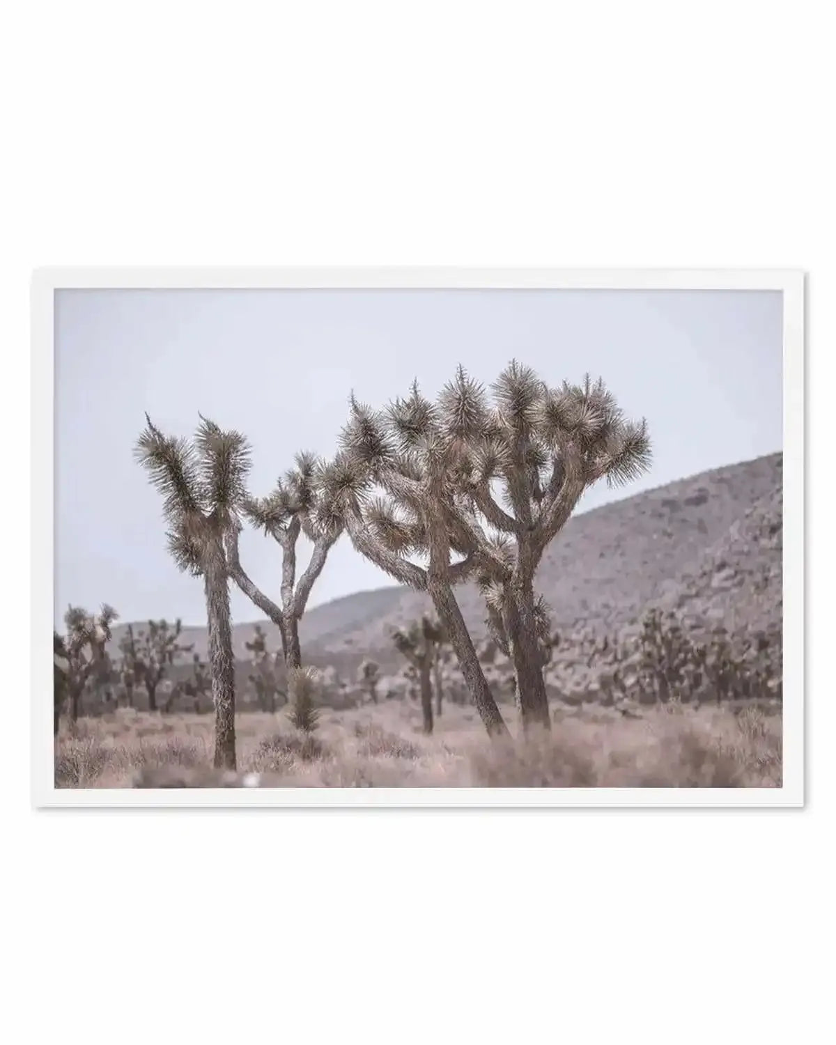 Cool Joshua Tree | LS Art Print from Olive et Oriel where you can shop wallpaper and artworks online