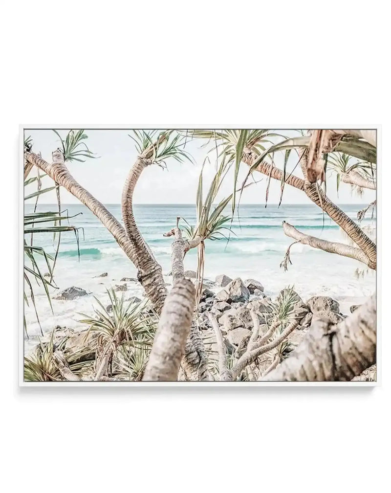Framed canvas print of a coastal photography scene featuring pandanus trees and turquoise ocean, displayed in a white frame. The composition looks through the gnarled, textured branches and long, spiky leaves of the pandanus trees towards the light blue-green water with gentle white waves breaking on a rocky shore under a pale sky.