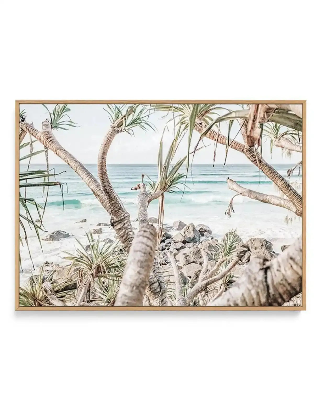 Coolangatta Coast View I, QLD | Framed Canvas-CANVAS-You can shop wall art online with Olive et Oriel for everything from abstract art to fun kids wall art. Our beautiful modern art prints and canvas art are available from large canvas prints to wall art paintings and our proudly Australian artwork collection offers only the highest quality framed large wall art and canvas art Australia - You can buy fashion photography prints or Hampton print posters and paintings on canvas from Olive et Oriel 