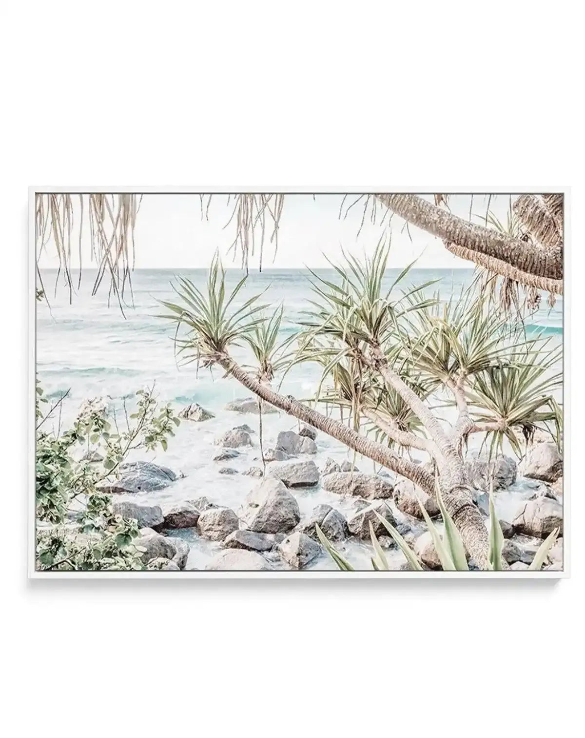 Coolangatta Coast View II, QLD | Framed Canvas-CANVAS-You can shop wall art online with Olive et Oriel for everything from abstract art to fun kids wall art. Our beautiful modern art prints and canvas art are available from large canvas prints to wall art paintings and our proudly Australian artwork collection offers only the highest quality framed large wall art and canvas art Australia - You can buy fashion photography prints or Hampton print posters and paintings on canvas from Olive et Oriel