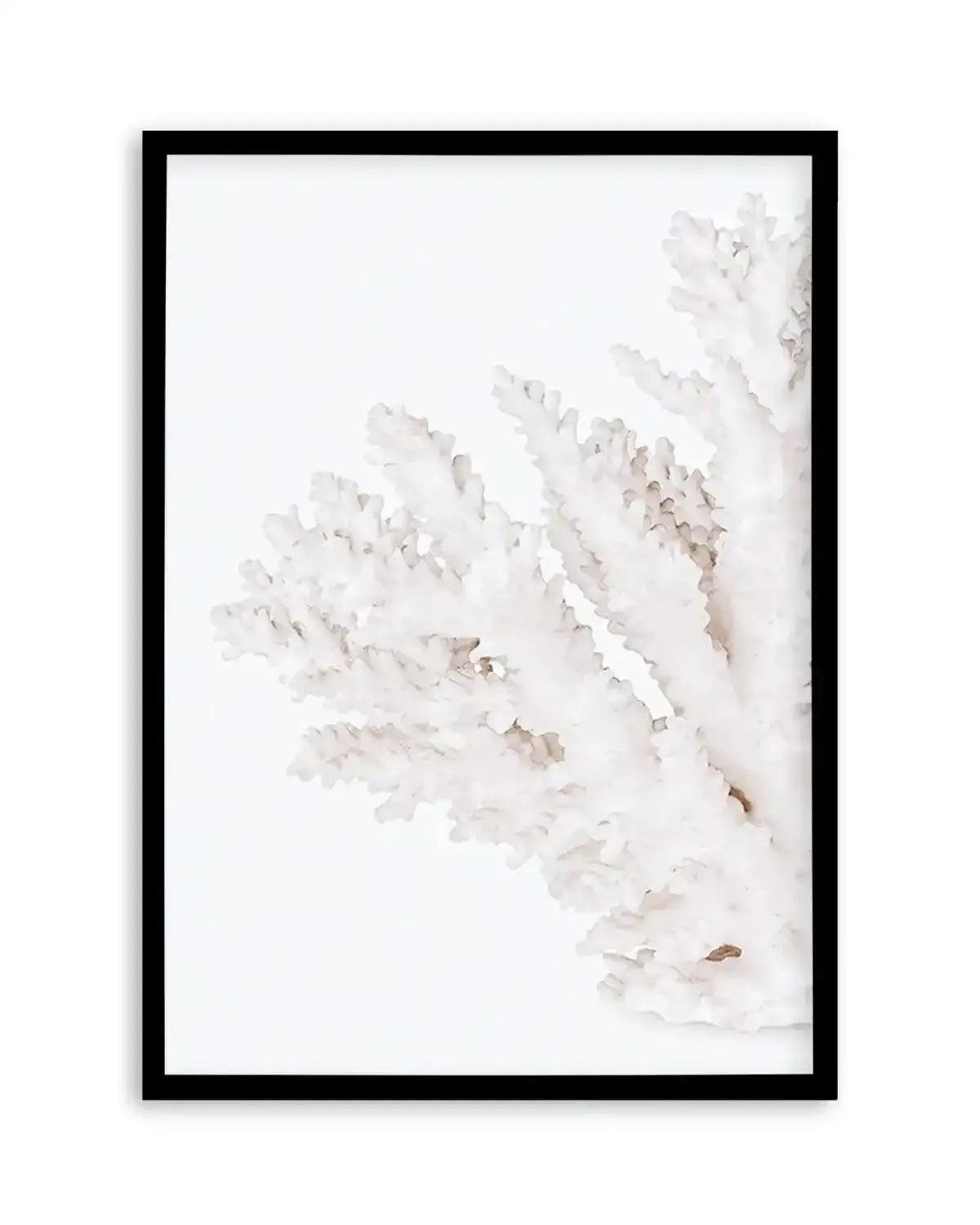Coral II | Left Art Print from Olive et Oriel where you can shop wallpaper and artworks online