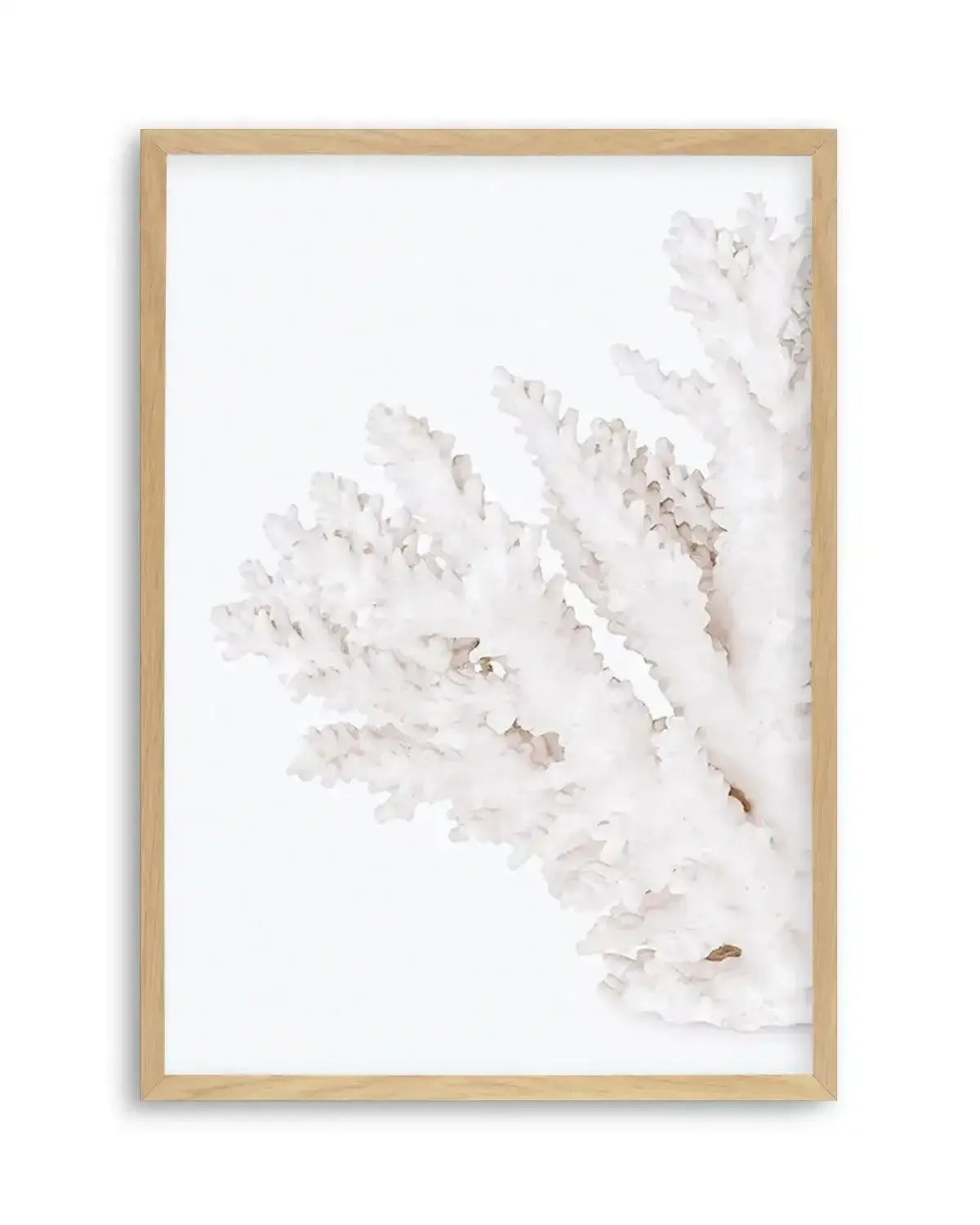 Coral II | Left Art Print from Olive et Oriel where you can shop wallpaper and artworks online