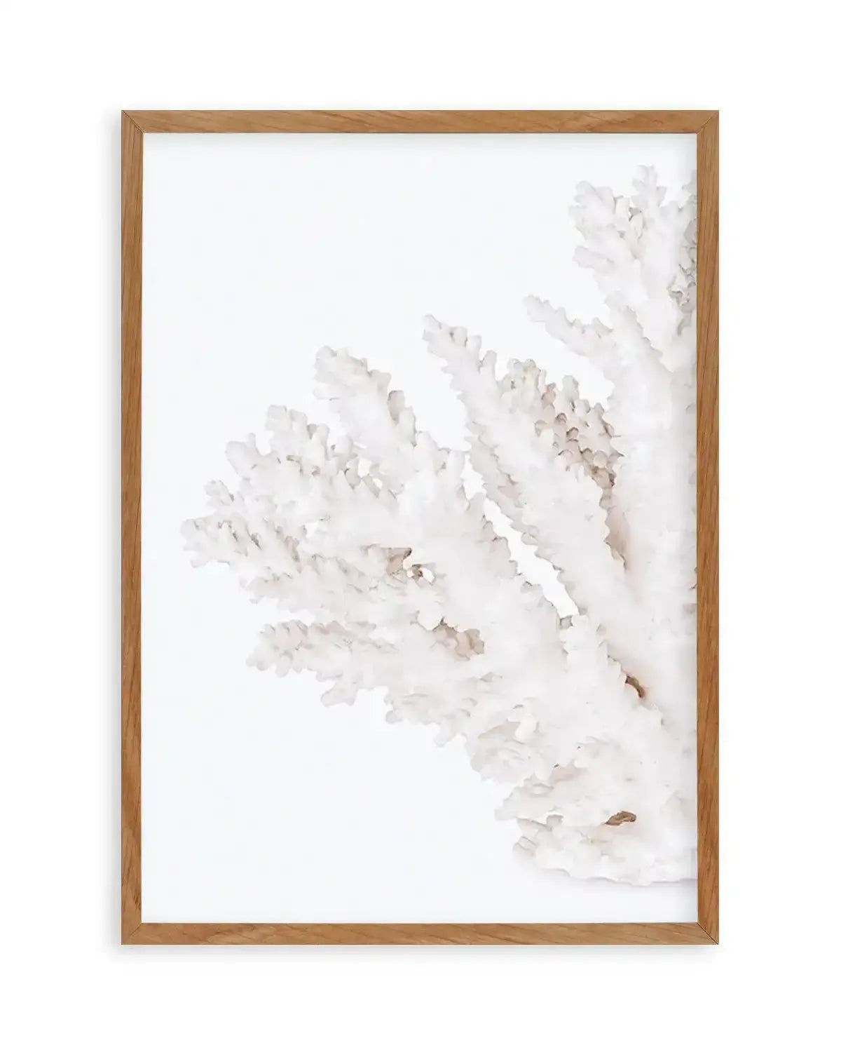 Coral II | Left Art Print from Olive et Oriel where you can shop wallpaper and artworks online