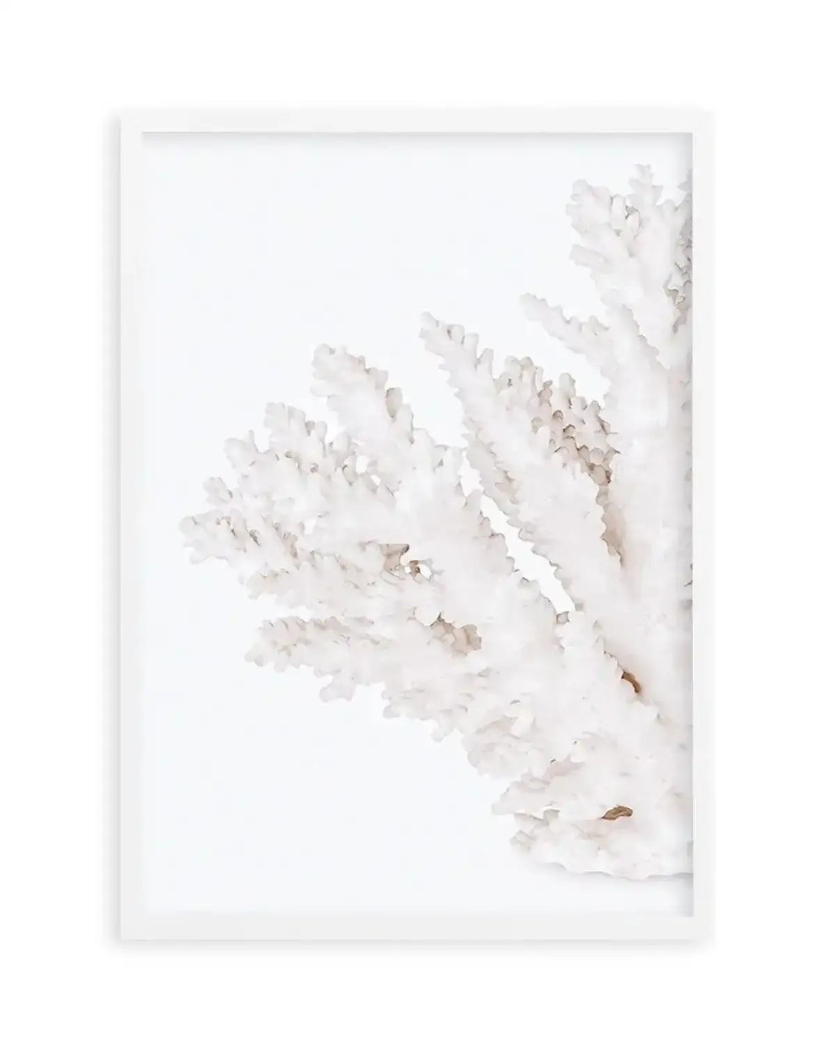 Coral II | Left Art Print from Olive et Oriel where you can shop wallpaper and artworks online