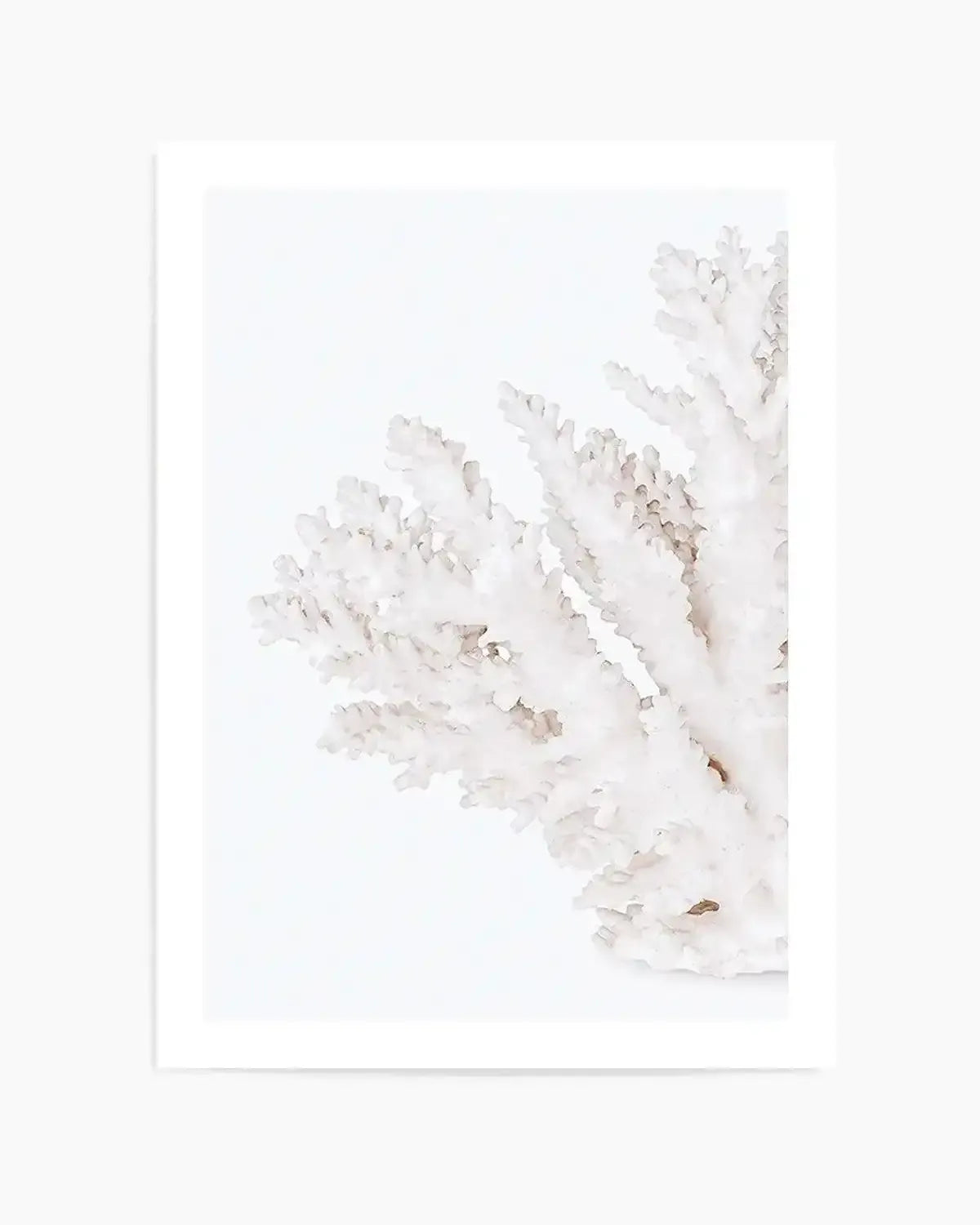 Coral II | Left Art Print from Olive et Oriel where you can shop wallpaper and artworks online