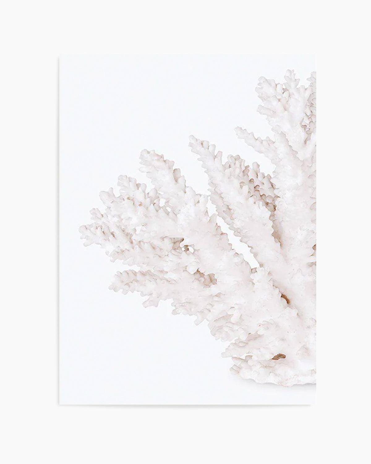 Coral II | Left Art Print