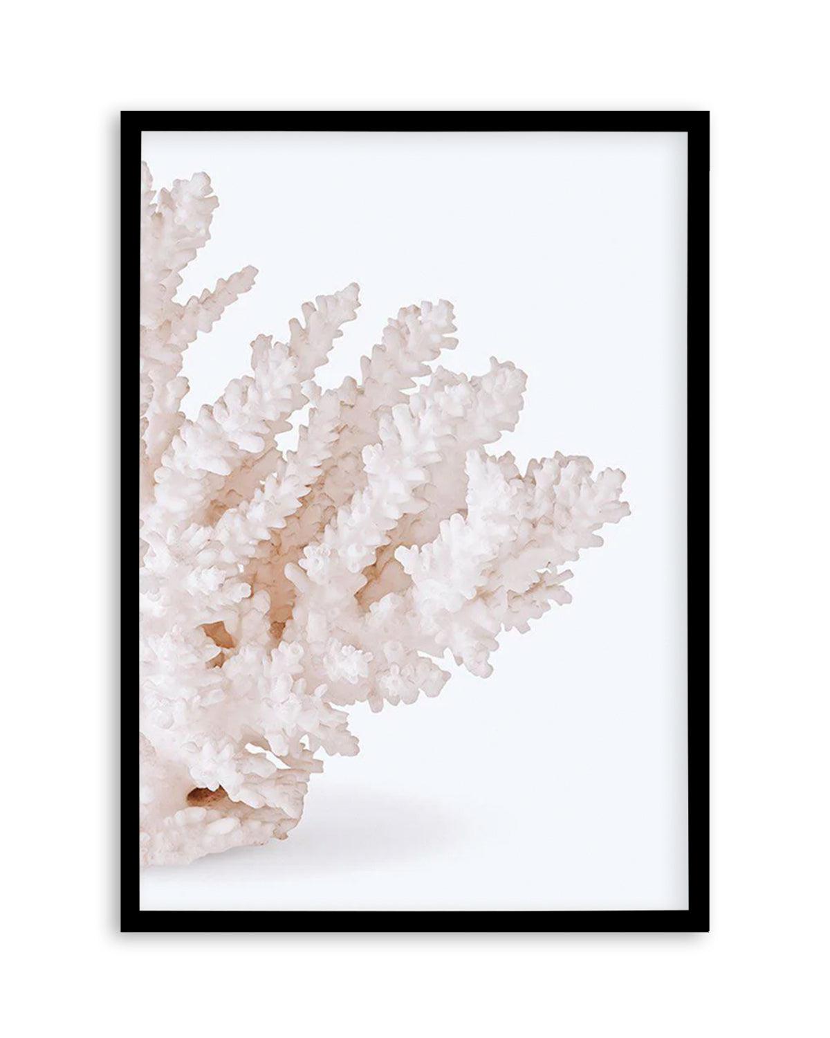 Coral II | Right Art Print