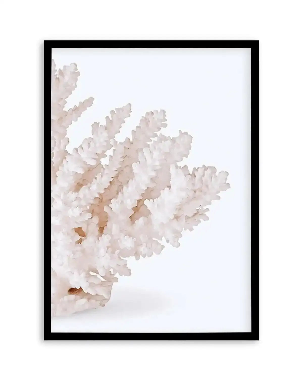 Coral II | Right Art Print from Olive et Oriel where you can shop wallpaper and artworks online