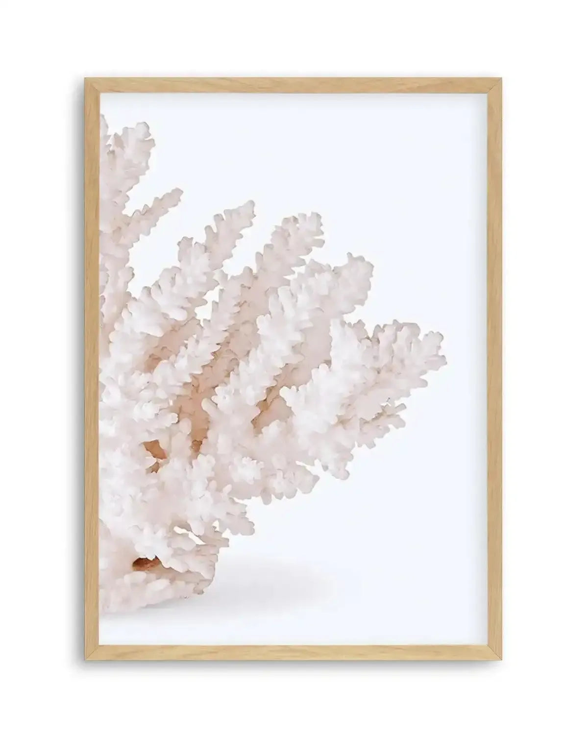 Coral II | Right Art Print from Olive et Oriel where you can shop wallpaper and artworks online