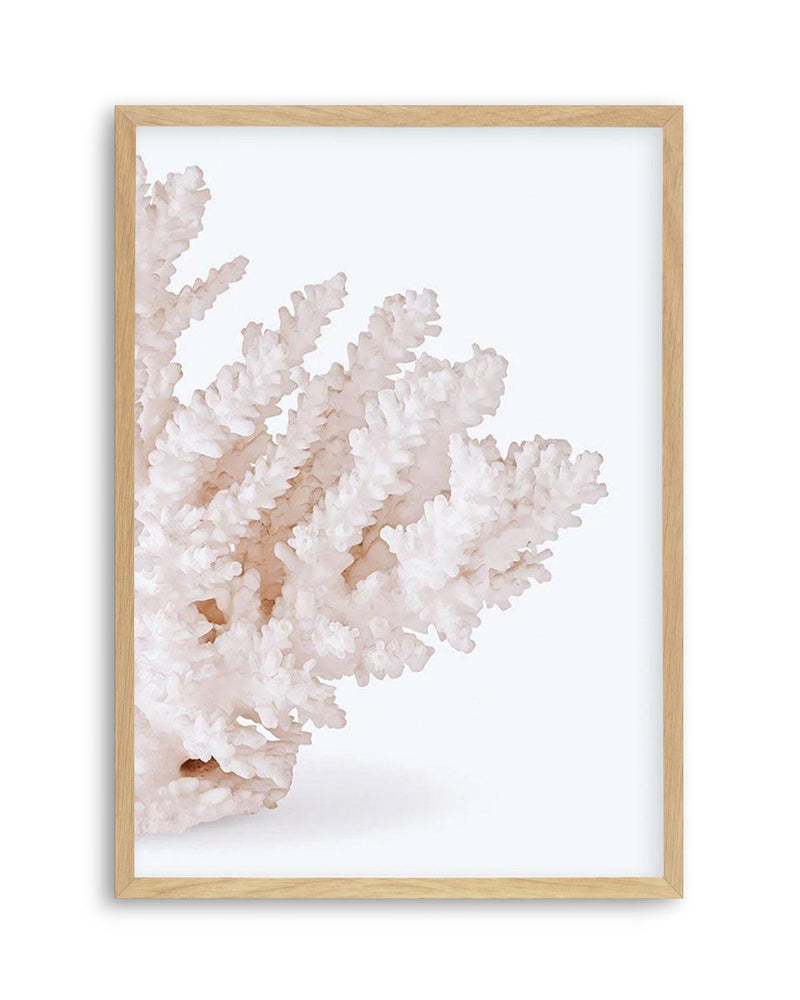 Coral II | Right Art Print