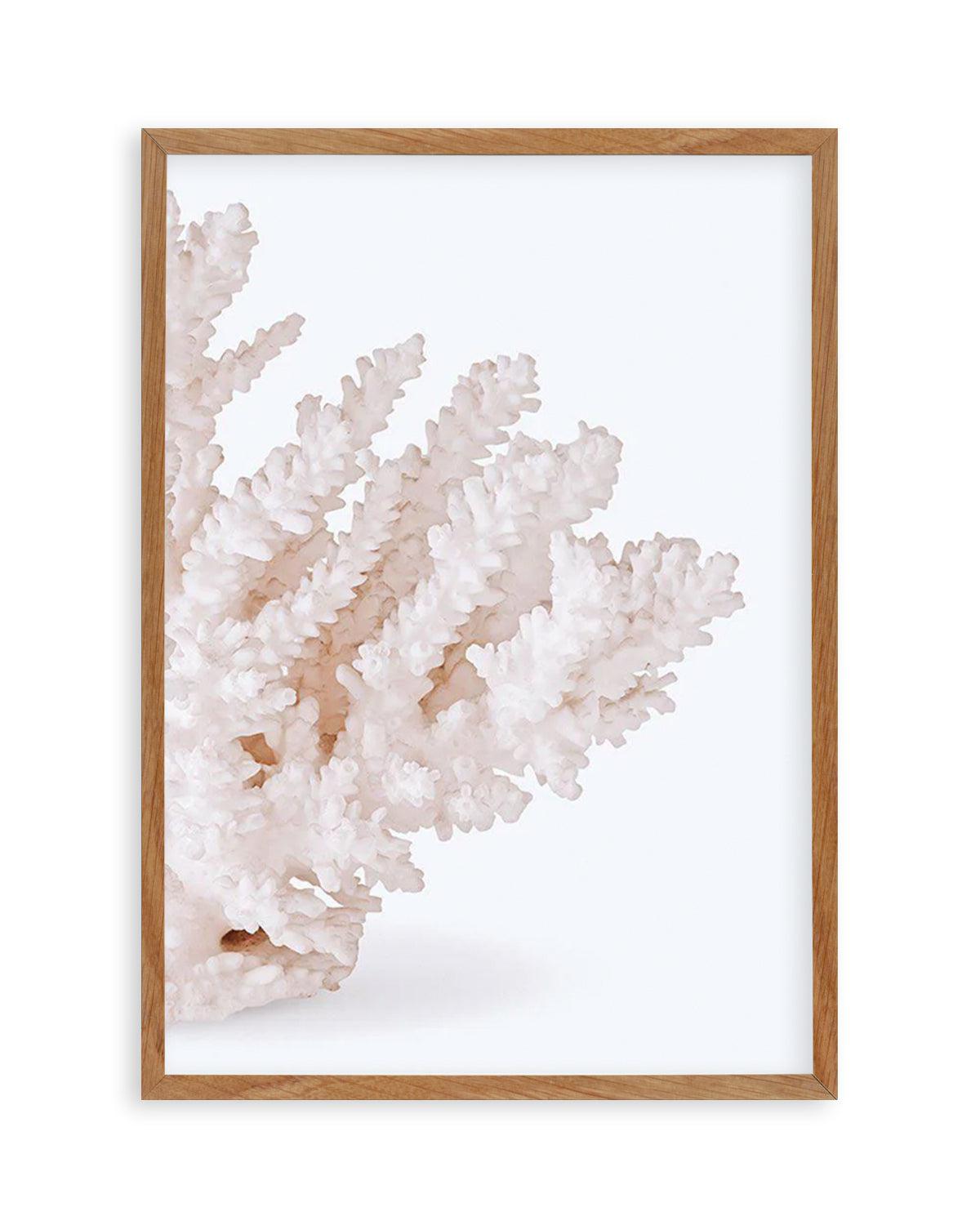 Coral II | Right Art Print