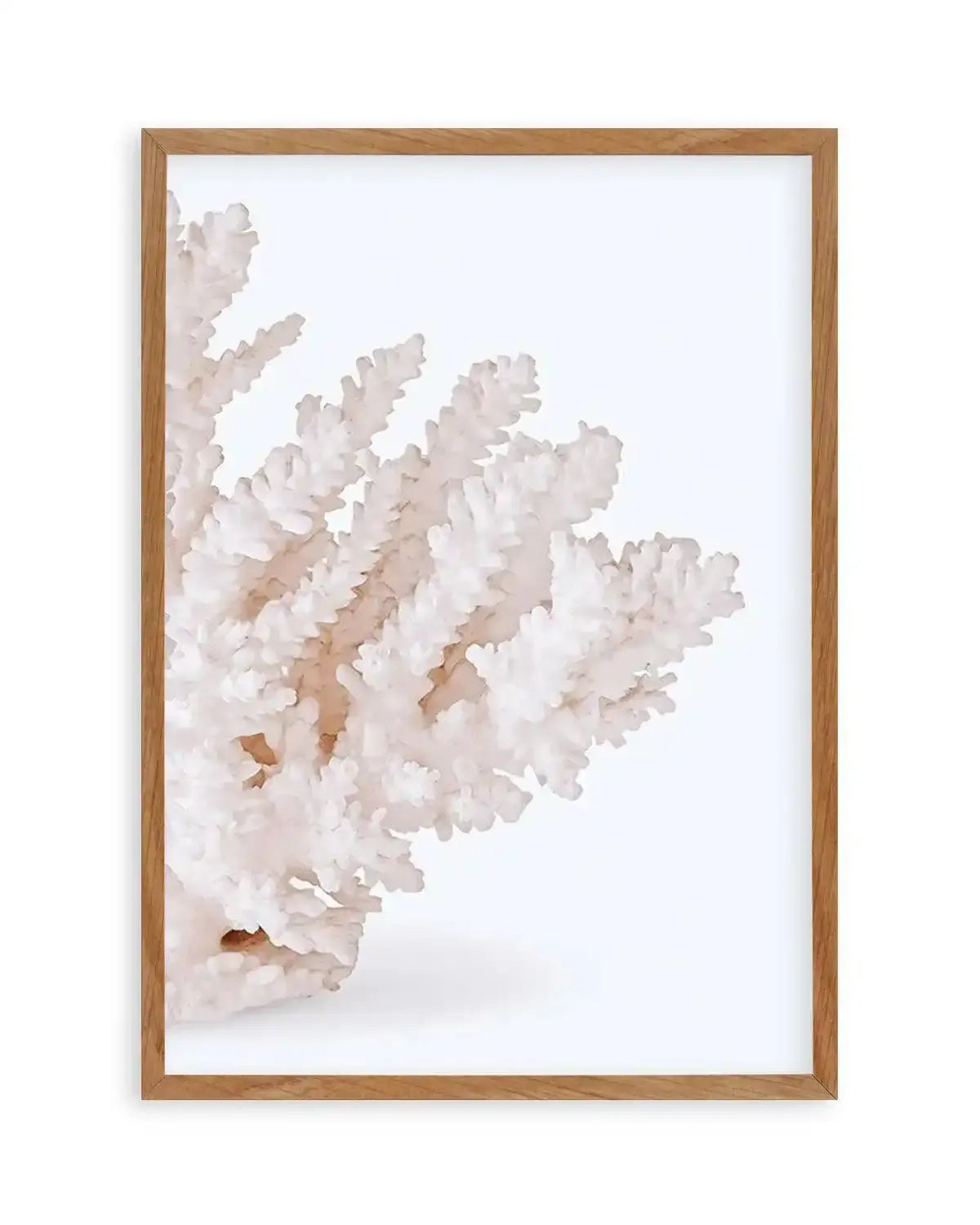 Coral II | Right Art Print from Olive et Oriel where you can shop wallpaper and artworks online