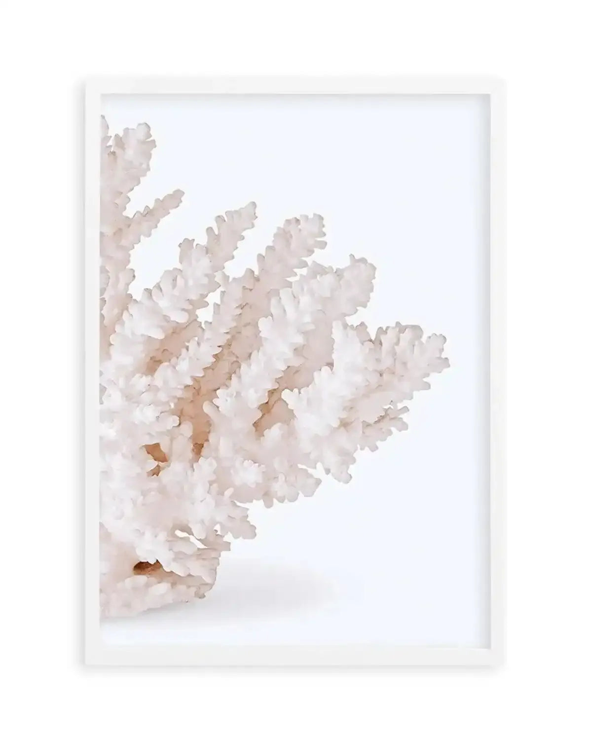 Coral II | Right Art Print from Olive et Oriel where you can shop wallpaper and artworks online