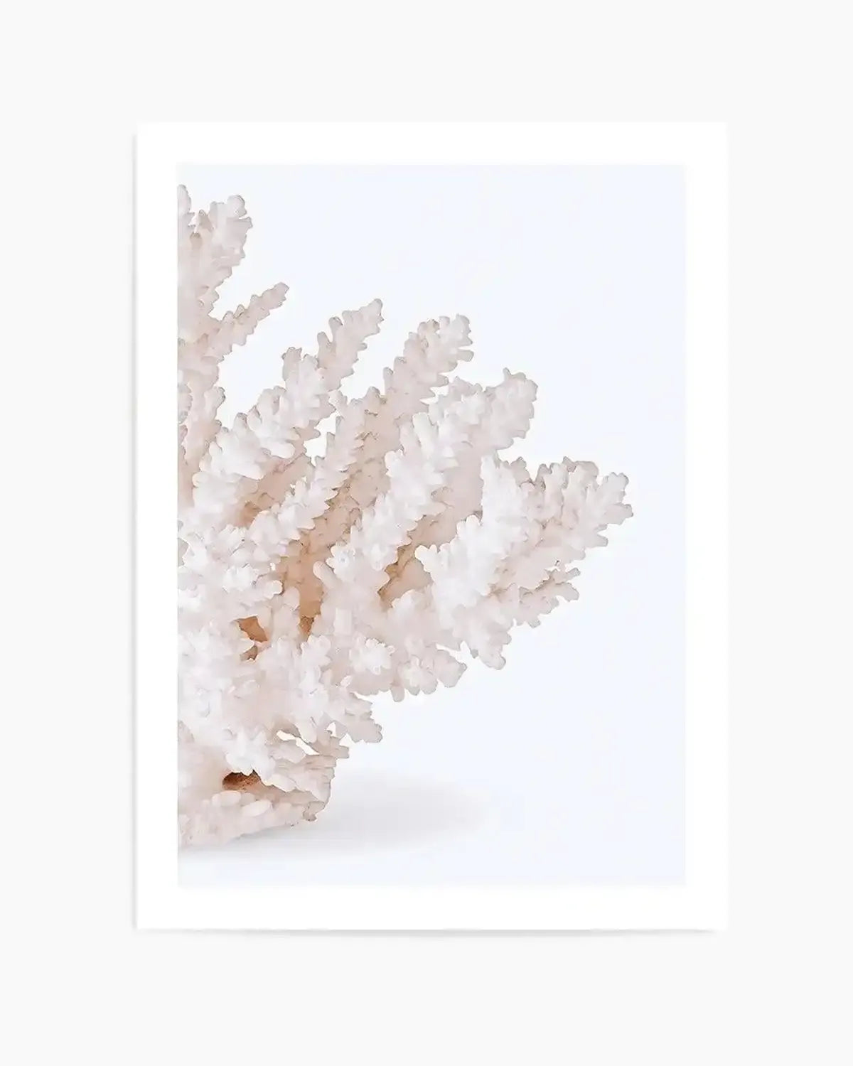 Coral II | Right Art Print from Olive et Oriel where you can shop wallpaper and artworks online