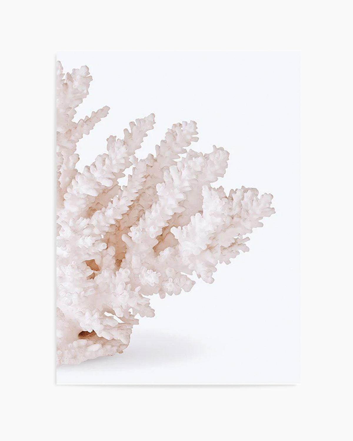 Coral II | Right Art Print