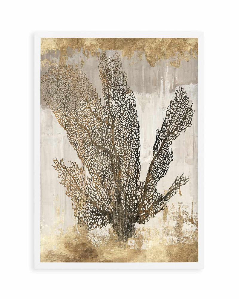 Coral Splendour I Art Print