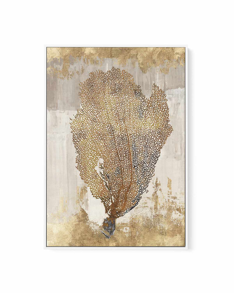 Coral Splendour III | Framed Canvas Art Print