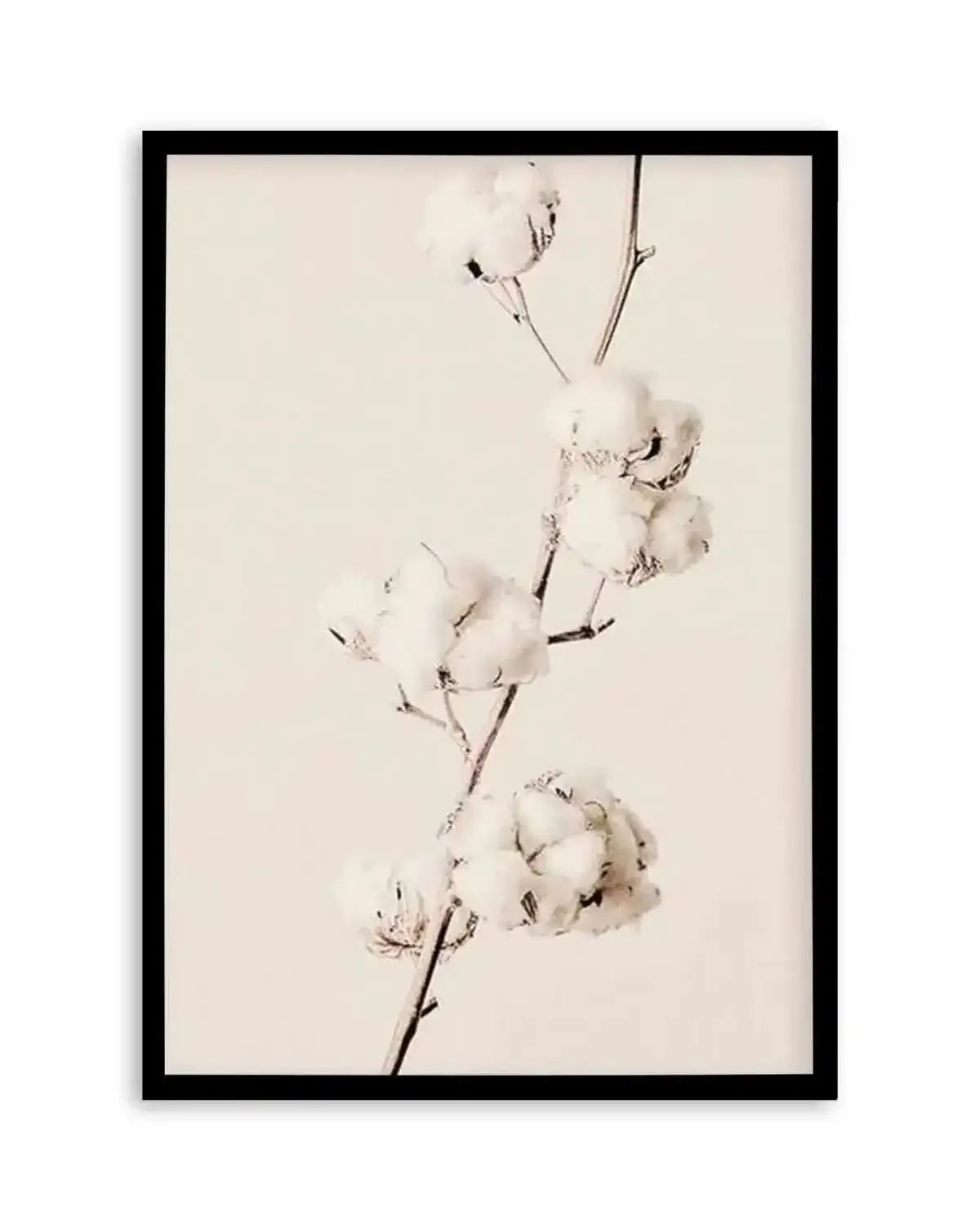 Cotton In Bloom Art Print from Olive et Oriel where you can shop wallpaper and artworks online