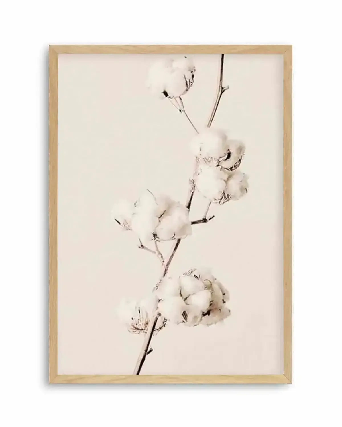 Cotton In Bloom Art Print from Olive et Oriel where you can shop wallpaper and artworks online