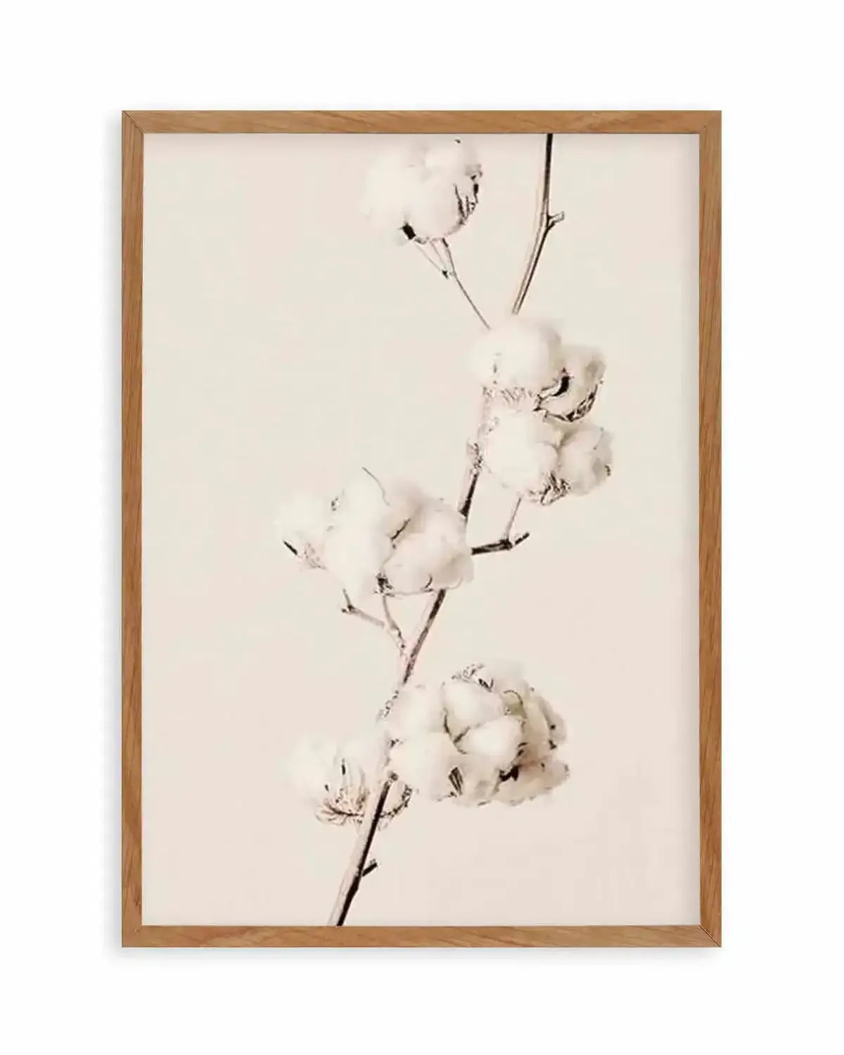 Cotton In Bloom Art Print from Olive et Oriel where you can shop wallpaper and artworks online