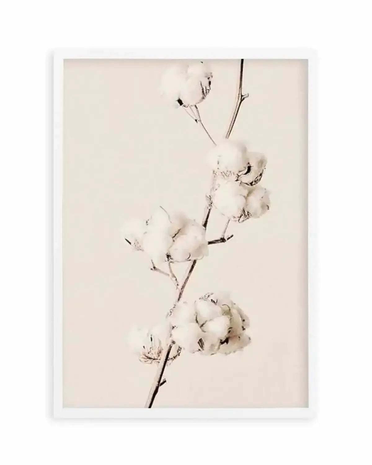 Cotton In Bloom Art Print from Olive et Oriel where you can shop wallpaper and artworks online