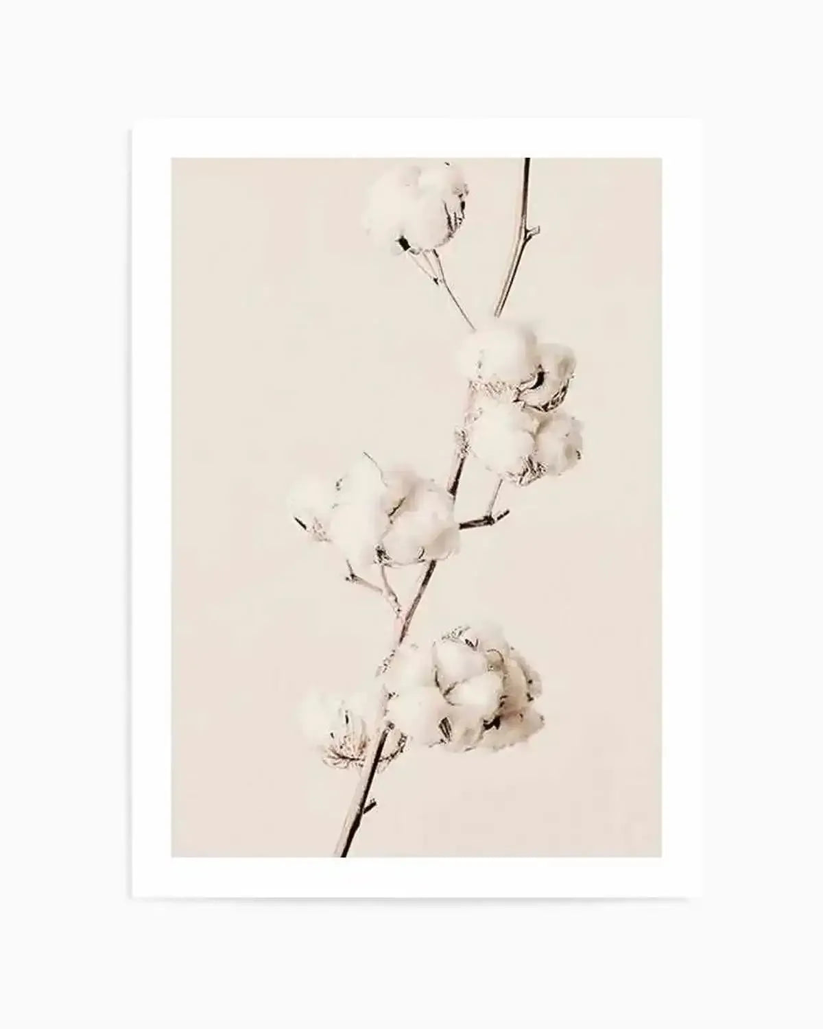 Cotton In Bloom Art Print from Olive et Oriel where you can shop wallpaper and artworks online