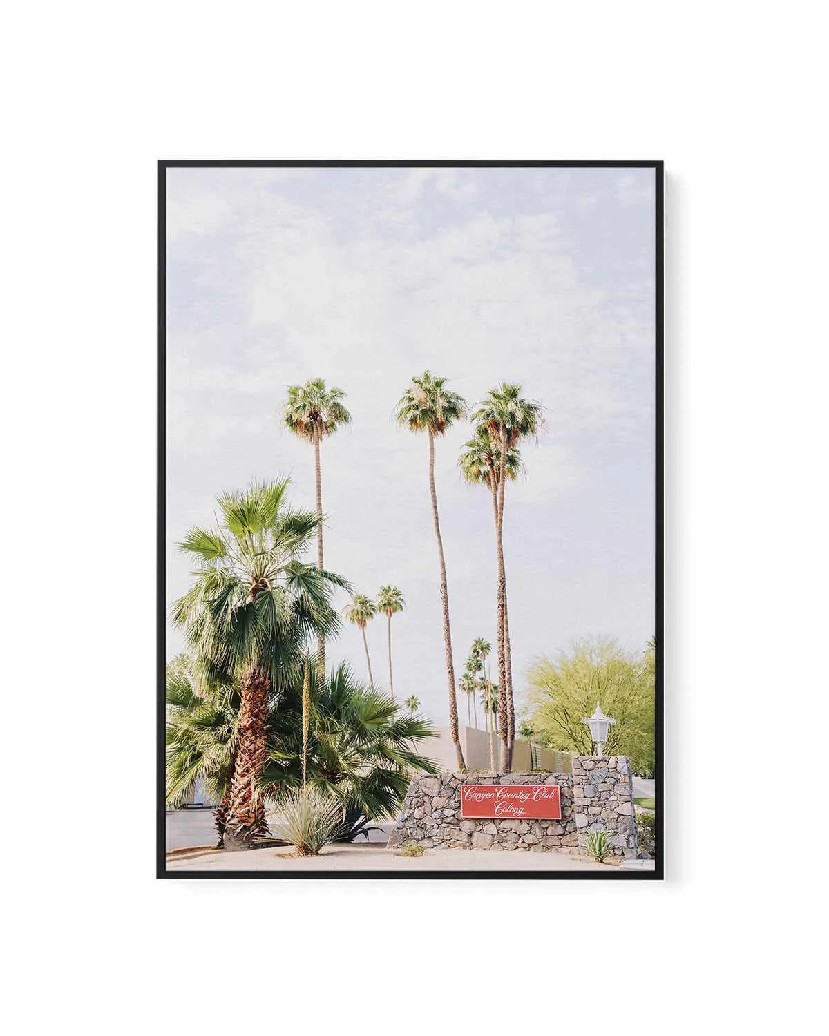 Country Club, Palm Springs | Framed Canvas Art Print from Olive et Oriel where you can shop wallpaper and artworks online