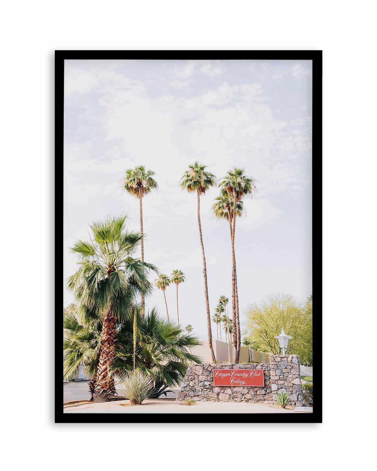 Country Club, Palm Springs Art Print