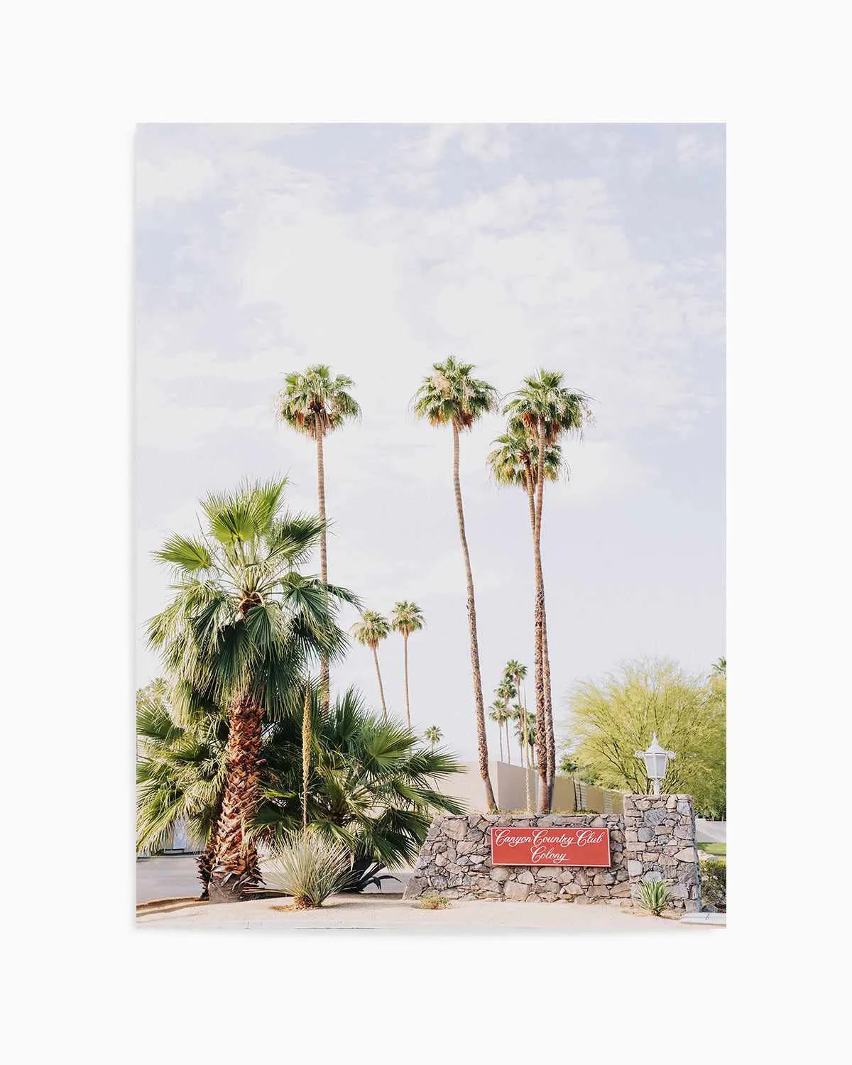 Country Club, Palm Springs Art Print from Olive et Oriel where you can shop wallpaper and artworks online