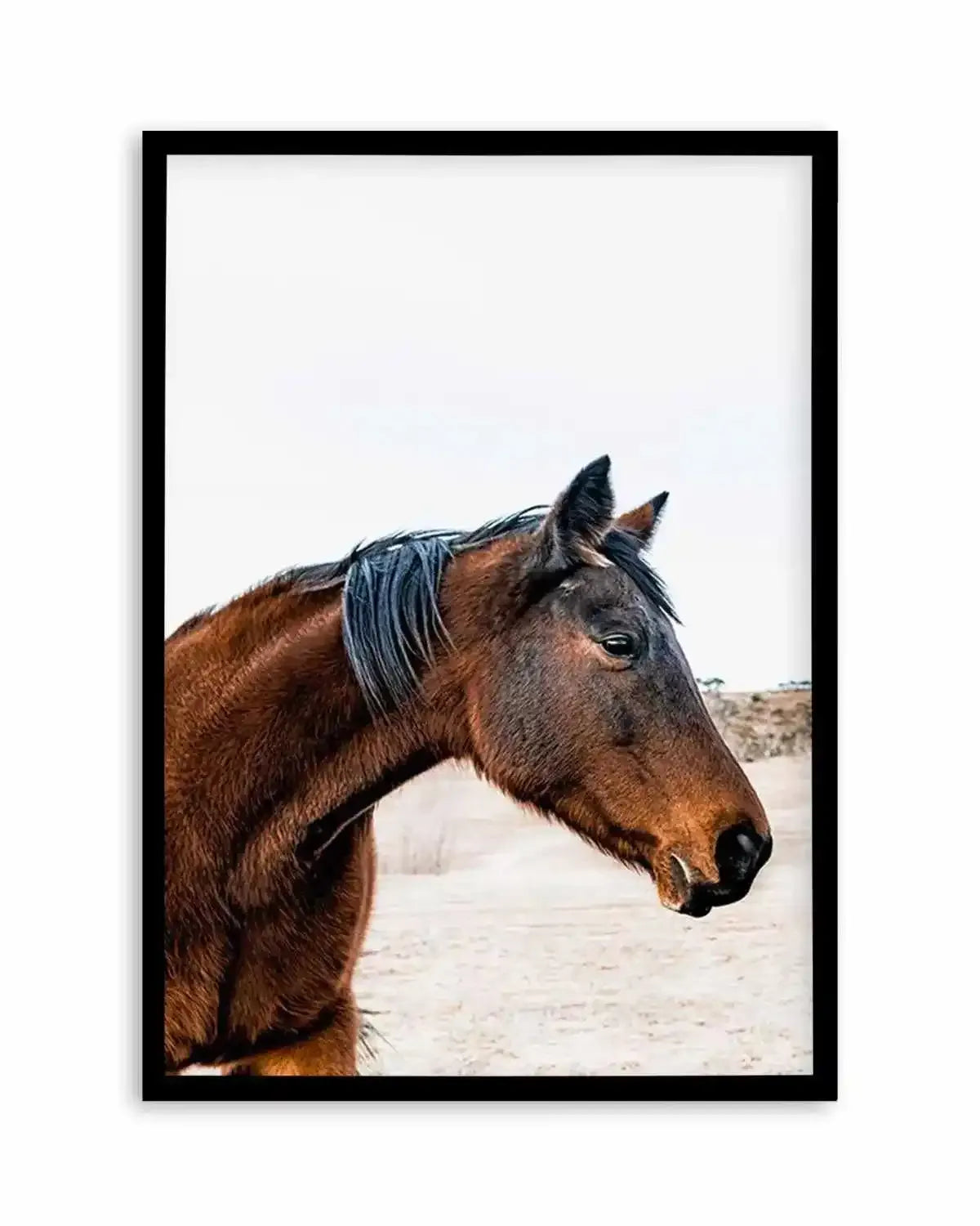 Country Horse Art Print from Olive et Oriel where you can shop wallpaper and artworks online