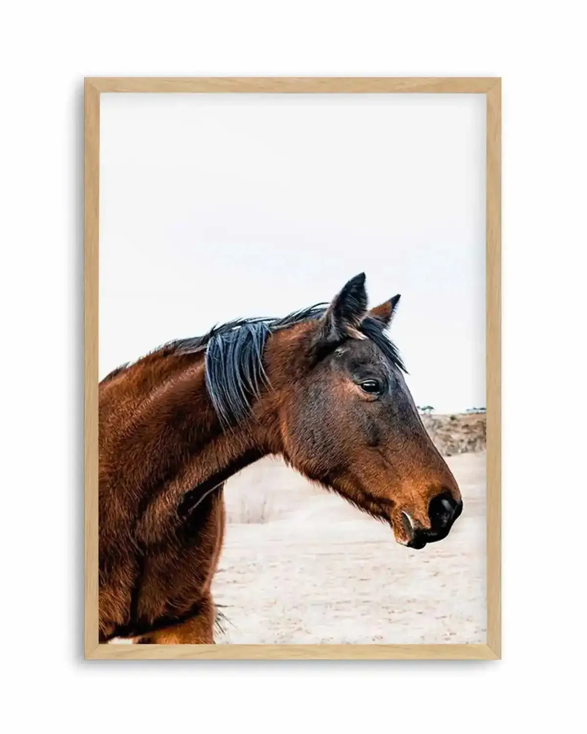 Country Horse Art Print from Olive et Oriel where you can shop wallpaper and artworks online