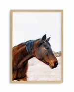 Country Horse Art Print