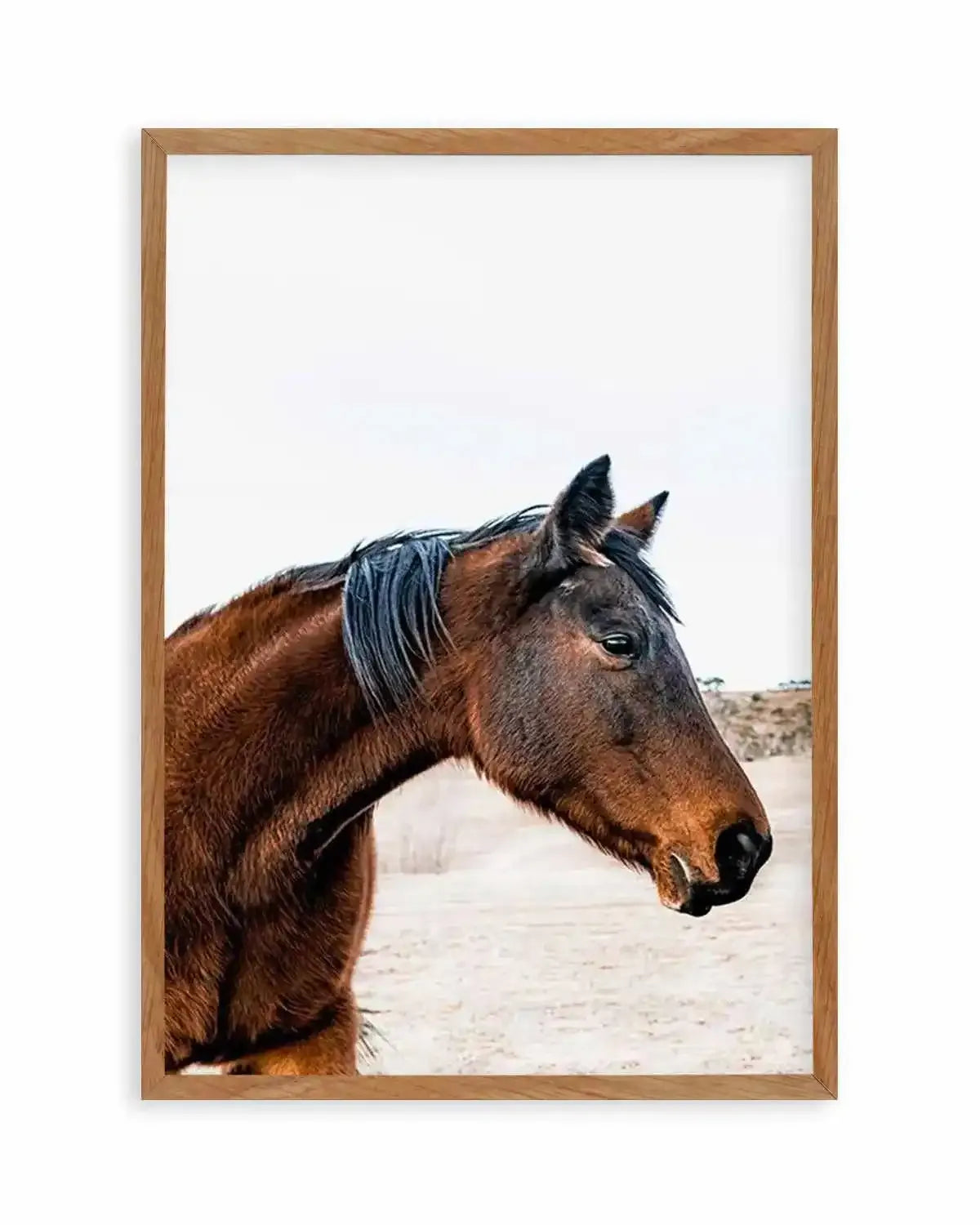 Country Horse Art Print from Olive et Oriel where you can shop wallpaper and artworks online
