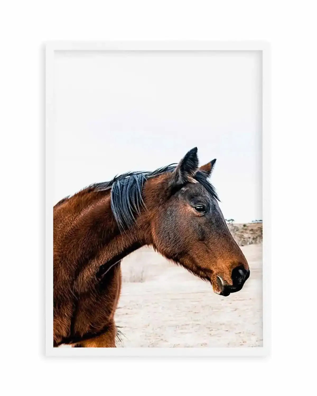 Country Horse Art Print from Olive et Oriel where you can shop wallpaper and artworks online