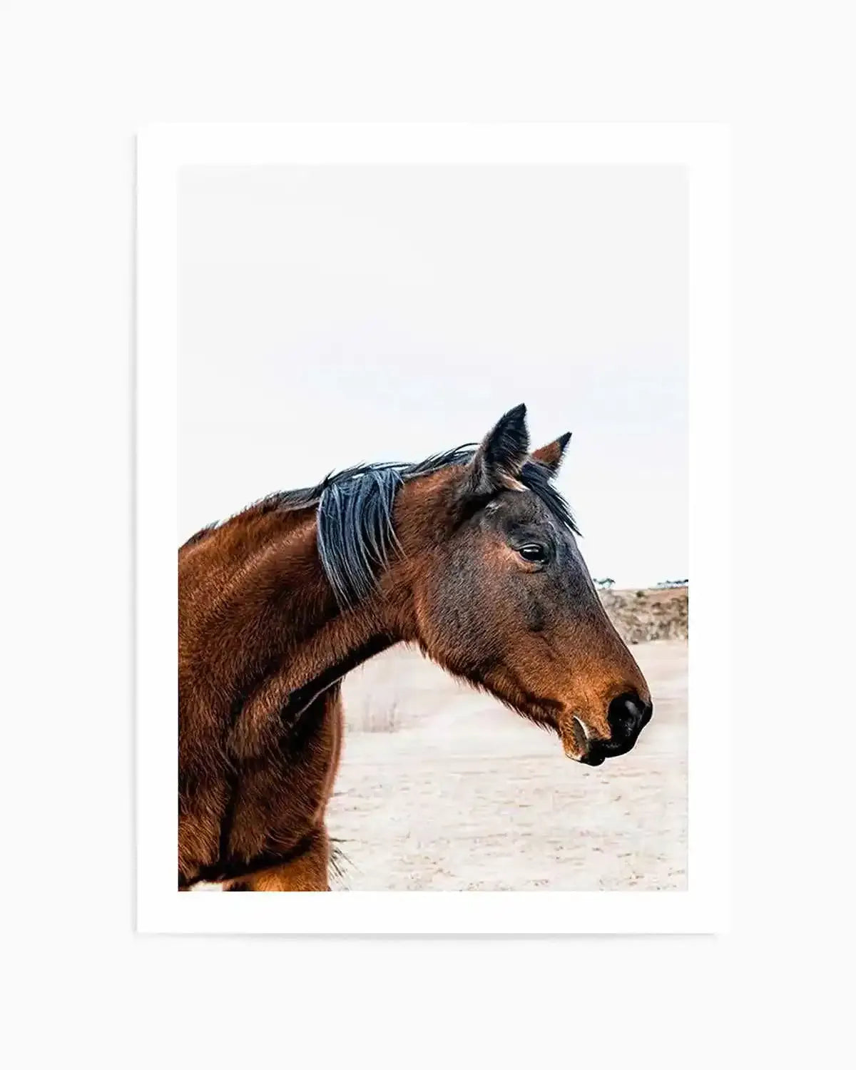 Country Horse Art Print from Olive et Oriel where you can shop wallpaper and artworks online