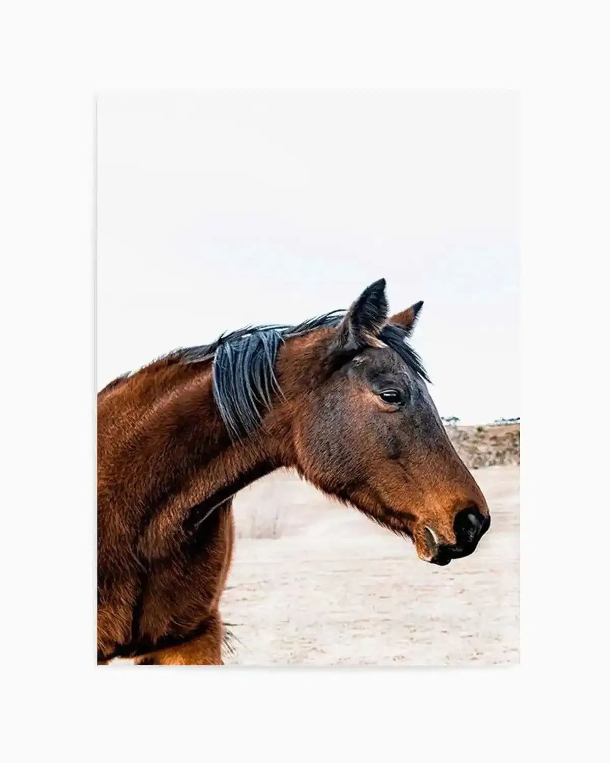 Country Horse Art Print from Olive et Oriel where you can shop wallpaper and artworks online