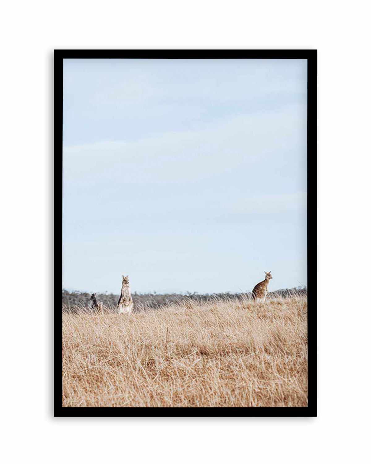 Country Kangaroo I Art Print