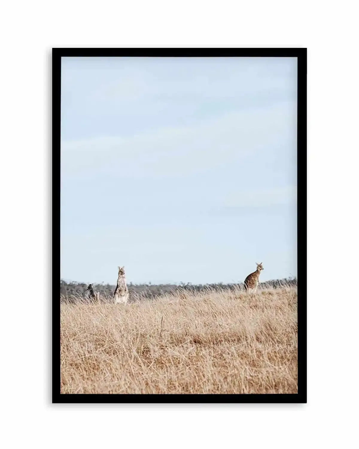 Country Kangaroo I Art Print from Olive et Oriel where you can shop wallpaper and artworks online