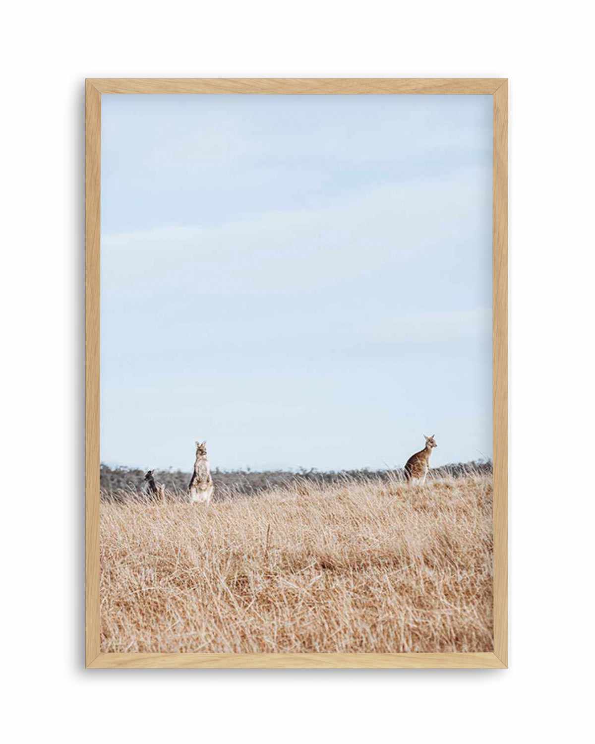 Country Kangaroo I Art Print