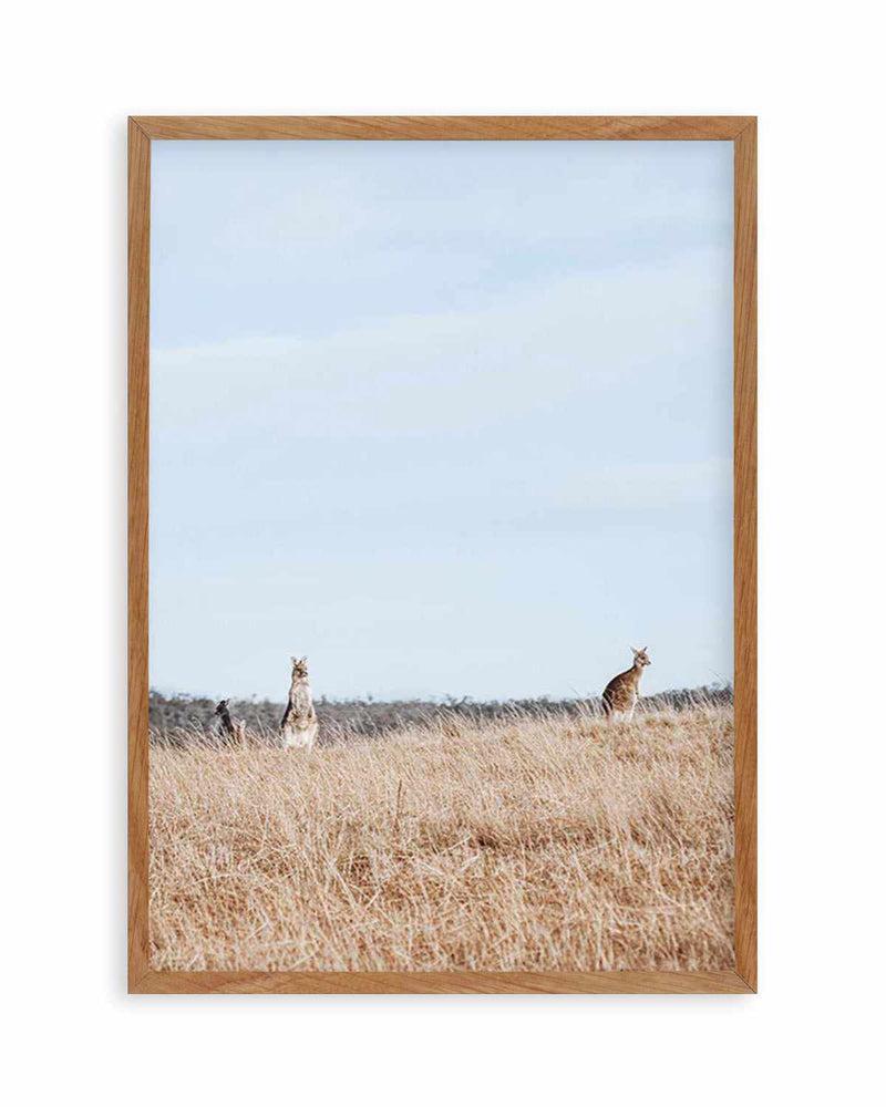 Country Kangaroo I Art Print