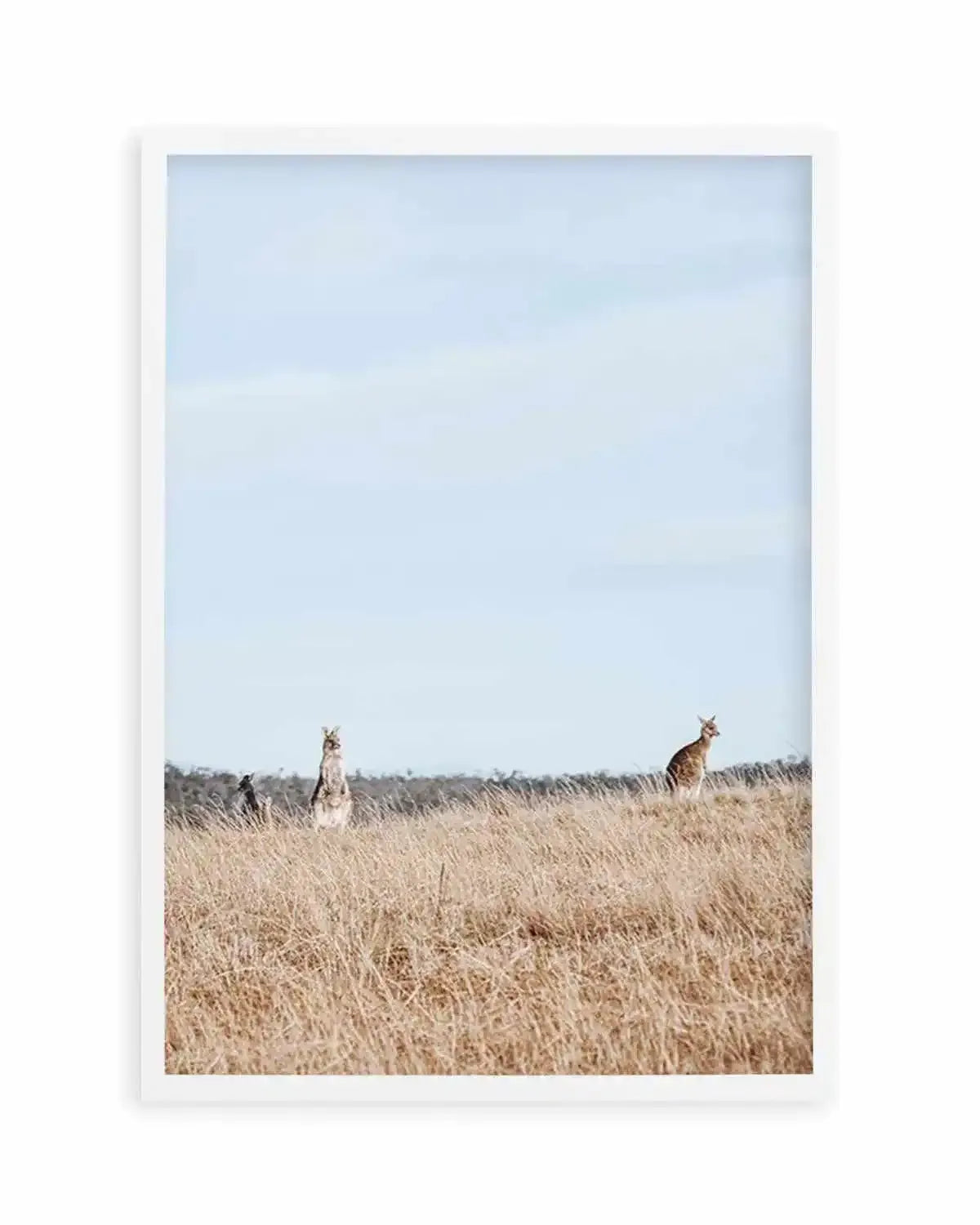 Country Kangaroo I Art Print from Olive et Oriel where you can shop wallpaper and artworks online